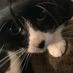 Meet your Posher, Savannah